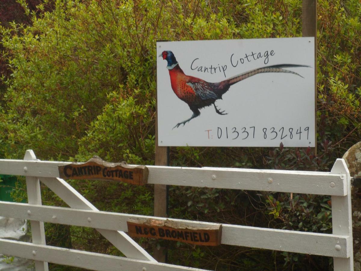 Cantrip Cottage Cupar Ngoại thất bức ảnh